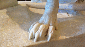 G. Bernini | Il Ratto di Proserpina | Galleria Borghese | Roma