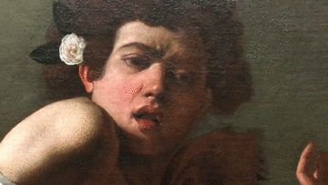 Caravaggio (Michelangelo Merisi) | Ragazzo morso da un ramarro|National Gallery | London